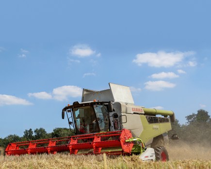 018-023_pt_lexion