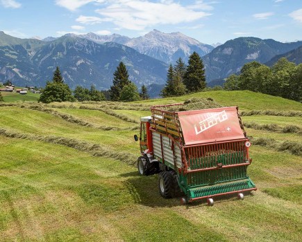 040-043_report_swiss_hay
