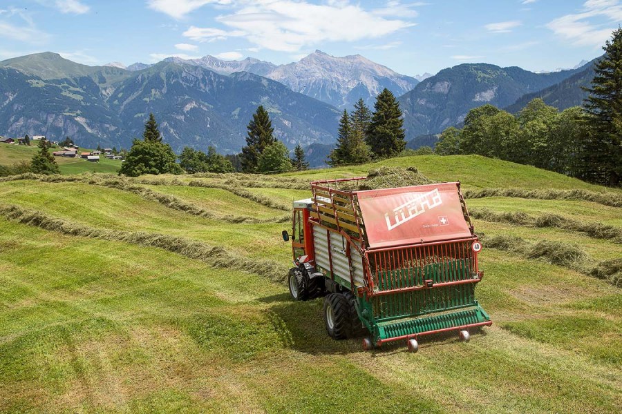 040-043_report_swiss_hay