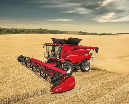 harvest