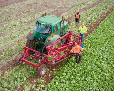 50820_ids-agri-epicentre-lettuce-aerial