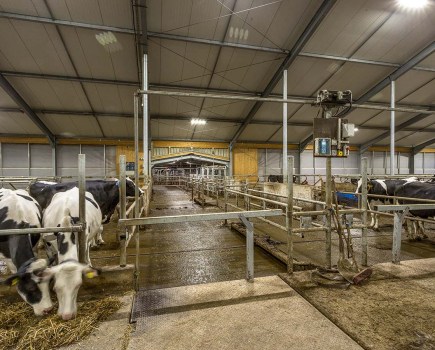 048-053_livestock