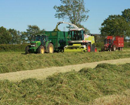 farm_2