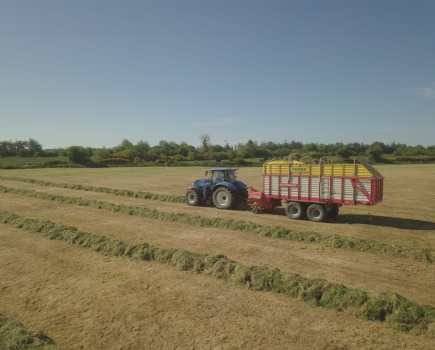 silage_2