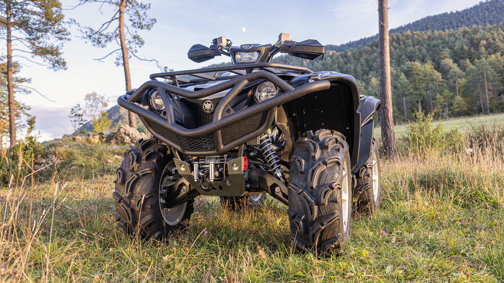 yamaha grizzly dealer