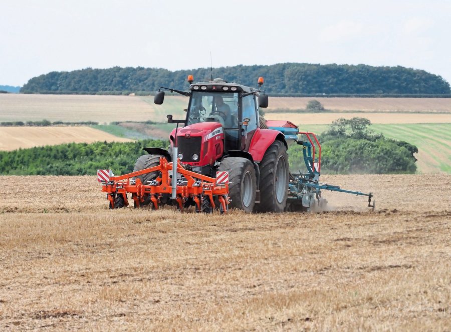 cultivations