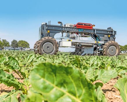 AI replaces weed killers