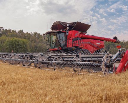 125 limited edition Massey Ferguson tractors - Profi