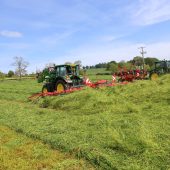 scotgrass_56